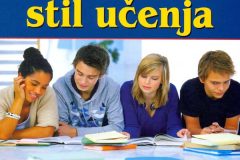 stil-ucenja